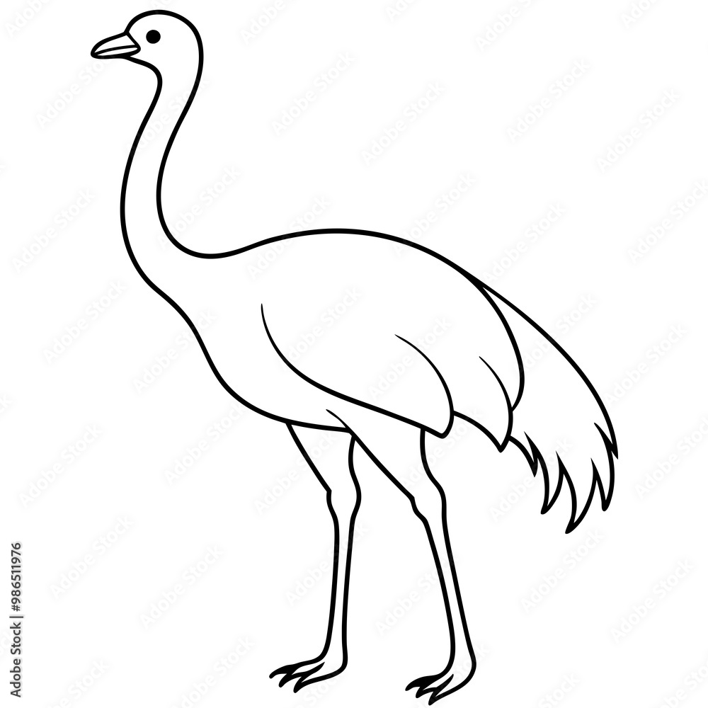 Obraz premium Graceful Emu Tall and Sleek Vector Design