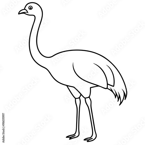 Graceful Emu Tall and Sleek Vector Design