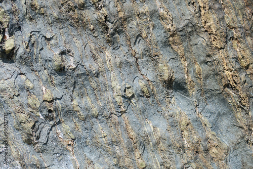Grünstein - Prasinit - greenstone -prasinite photo
