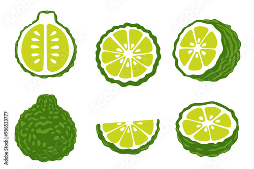 Bergamot vector logo isolated on white background.	 photo