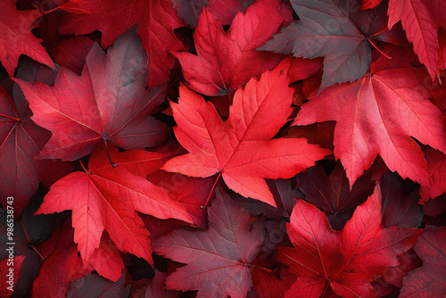 Background of red fall leaves 