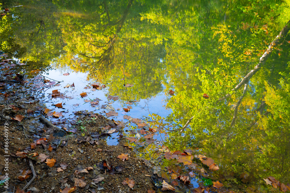 Trees and blue sky reflected in the surface of the water next to the creek bank, Chickamauga creek, Audubon Acres in Chattanooga, Tennessee Trees and blue sky reflected in the surface of the water next to the creek bank, Chickamauga creek, Audubon Acres in Chattanooga, Tennessee