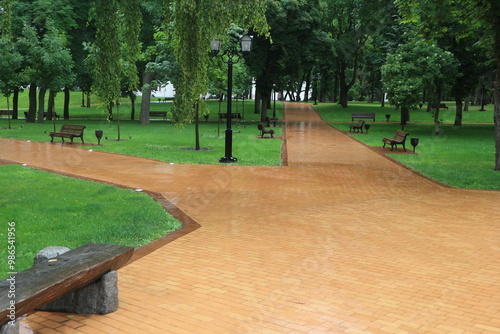 Εκτύπωση καμβά The territory of a large park after rain