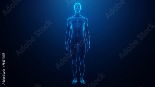 A futuristic blue hologram of a human figure against a dark background, emphasizing technology and body representation.