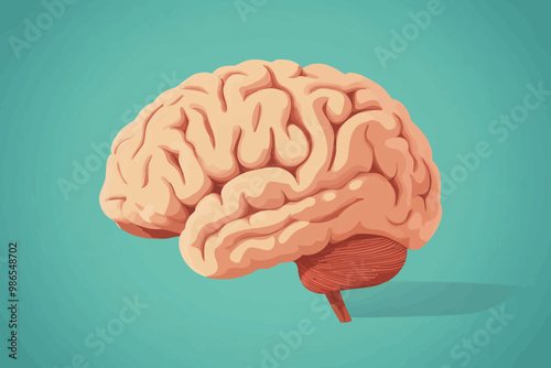 The Human Brain: A side view illustration of the human brain, featuring intricate details and a soft, pastel color palette. This image is perfect for educational materials, medical publications.