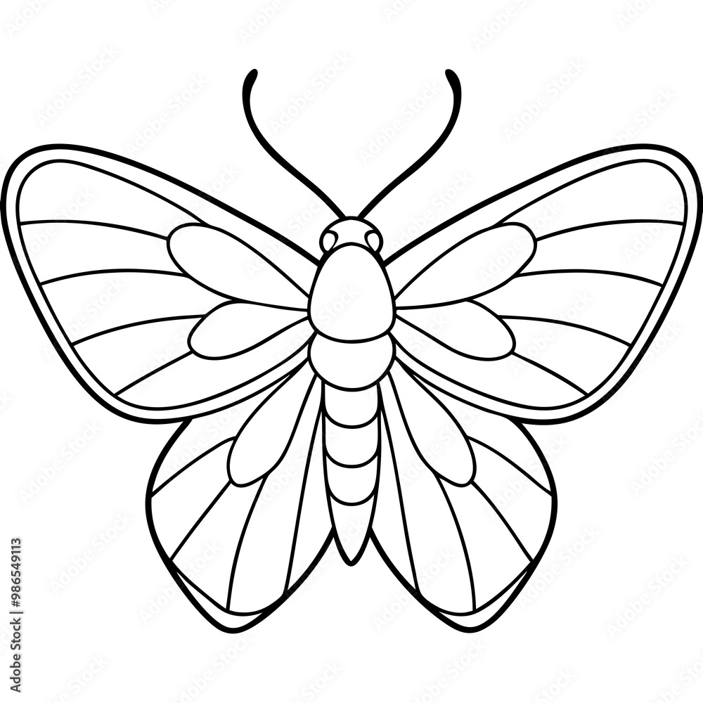A delicate moth with its wings spread, captured in smooth, symmetrical lines A delicate moth with its wings spread, captured in smooth, symmetrical lines