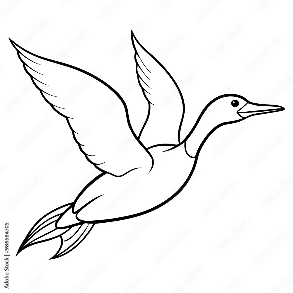 Streamlined Gannet Diving Vertically - Tucked Wings Art Vector Streamlined Gannet Diving Vertically - Tucked Wings Art Vector