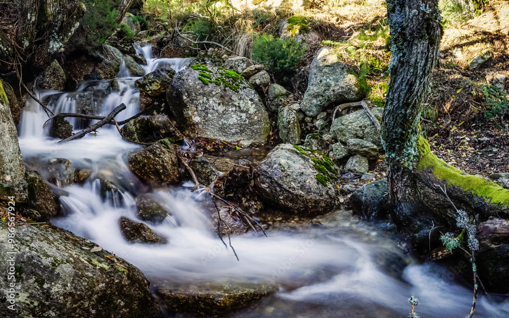 Crystal clear stream with a small waterfall Crystal clear stream with a small waterfall