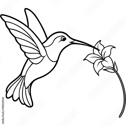 Graceful Hummingbird Sipping Nectar – Flowing Line Art Vector