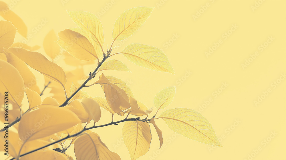 Fototapeta premium yellow autumn leaves background space for text backdrop wallpaper