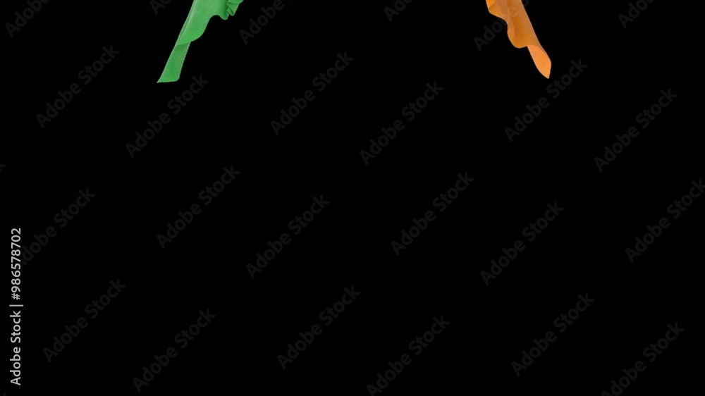 3D animated Niger flag on a transparent alpha channel 3D animated Niger flag on a transparent alpha channel