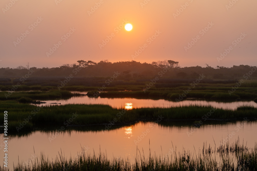 Fototapeta premium Sunrise over the wetlands of Assateague island. The sun's reflection in the water is broken up by a strip of grasses.