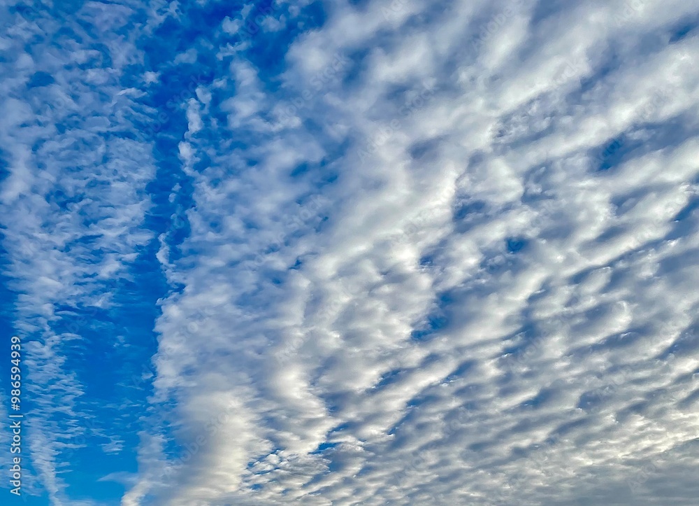 Fototapeta premium blue sky with clouds