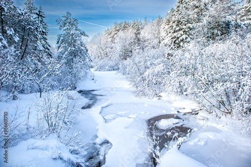 Frozen stream running through a Wisconsin forest