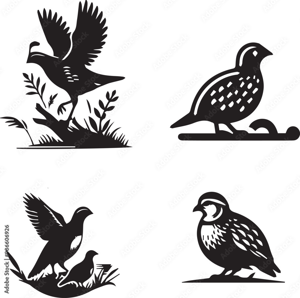 Obraz premium quail silhouette