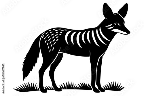 A detailed vector illustration of a Black-backed Jackal standing in the grassland of the African Savanna, capturing its wild and agile nature in a natural habitat setting. photo