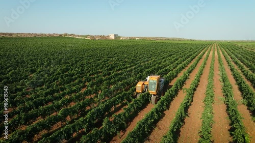 GRAPE HARVESTER, ORBIT AROUND IT WHILE HARVESTING IN THE MIDDLE OF A VINEYARD AND THE FARM IN THE BACKGROUND 3
