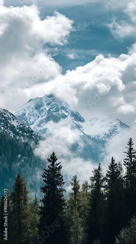 Snowy Mountain Peak with Clouds and Pine Trees in the Foreground