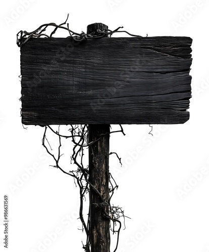 Dark Wooden Signboard with Creepy Black Vines Isolated on white background, Gothic Halloween Design, Blank Rustic Sign for Spooky Decorations, Haunted House, Horror Theme, and Scary Event Invitations