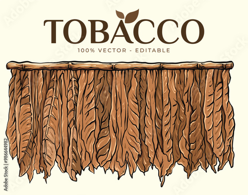 Process of Hanging Dried Tobacco Leaves. Background Vector EPS.10