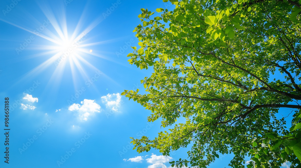 Fototapeta premium Bright sunlight shining through green tree leaves against blue sky