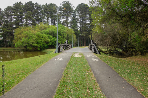 Fototapeta Naklejka Na Ścianę i Meble -  Curitiba, Brazil: Tingui park meadow