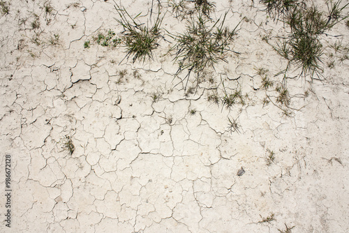 Dried caliche grounds with weeds in the shadows  photo