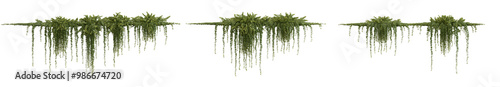 Foto Hanging plant isolated png on a transparent background premium cutout high resol