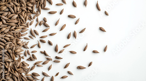 cumin seeds: a loose frame made from dried cumin seeds, scattered gently over a soft white background, the warm, earthy tones of the seeds create a subtle, natural texture