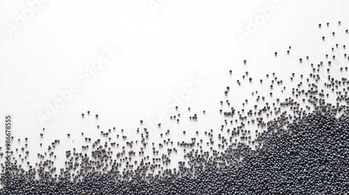 poppy seeds: a loose frame made from tiny blue-gray poppy seeds, scattered sparsely across a soft white background, the fine texture and cool color palette create a calming, minimalist aesthetic photo