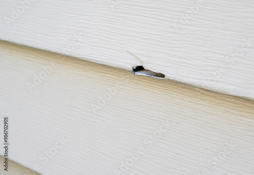 Hole in exterior siding of home. Broken vinyl siding on house.