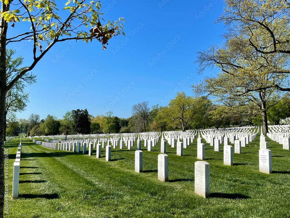 military cemetery in region country military cemetery in region country