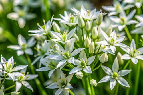 Softly glowing delicate white and green star-shaped flowers unfurl in a lush garden bed, with a softly focused
