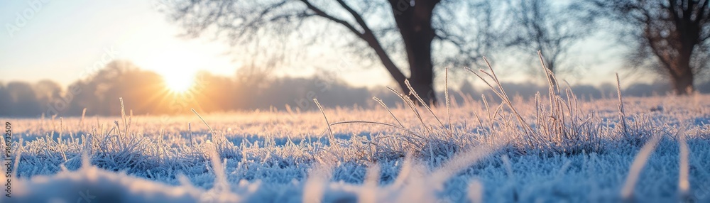 A serene winter landscape featuring frosted grass, sparkling under the warm glow of the rising sun, evoking peace and tranquility. A serene winter landscape featuring frosted grass, sparkling under the warm glow of the rising sun, evoking peace and tranquility.