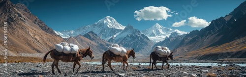 Pack horses traversing rocky trails in the Karakoram mountains