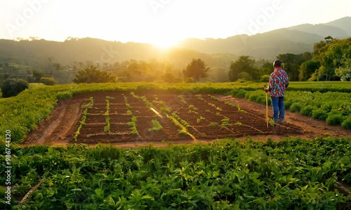 Haitian Man Planning a Sustainable Garden in Vibrant Landscape