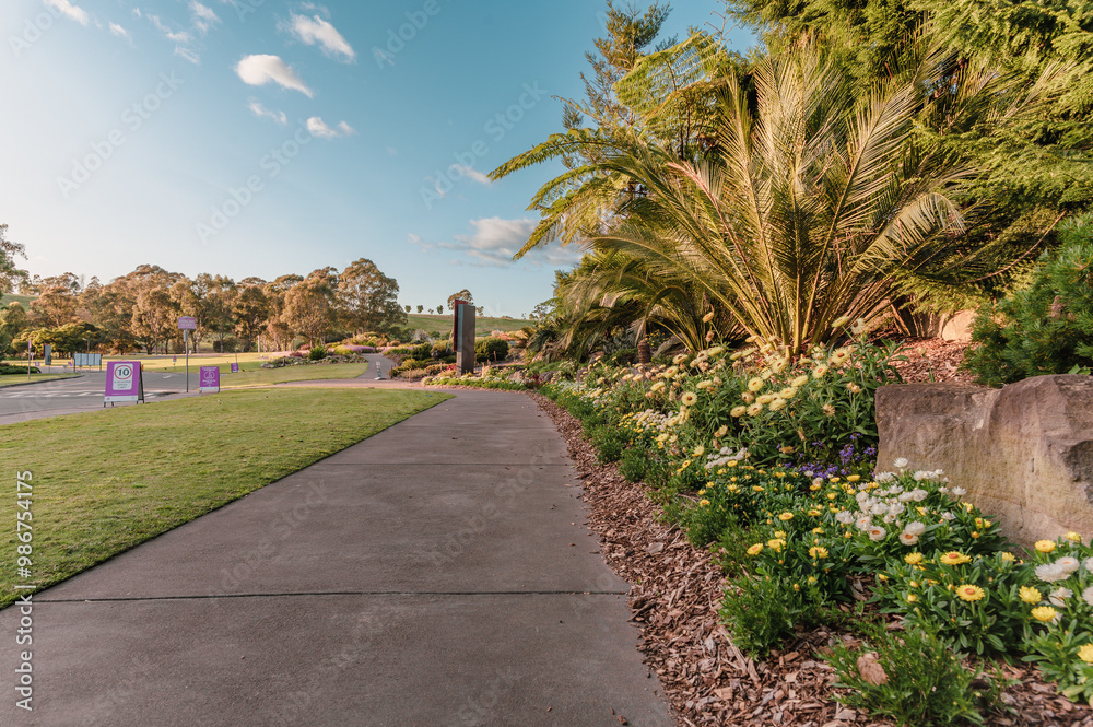 Fototapeta premium The Australian Botanic Garden, Mount Annan is the Australian native plant garden of the Royal Botanic Gardens, Sydney and covers 416 hectares