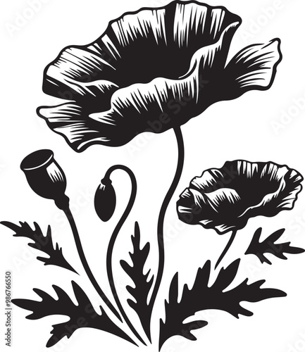 Poppy flower silhouette vector illustration