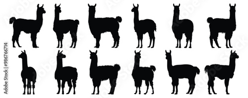 Llama silhouettes set, animal pack of vector silhouette design, isolated background