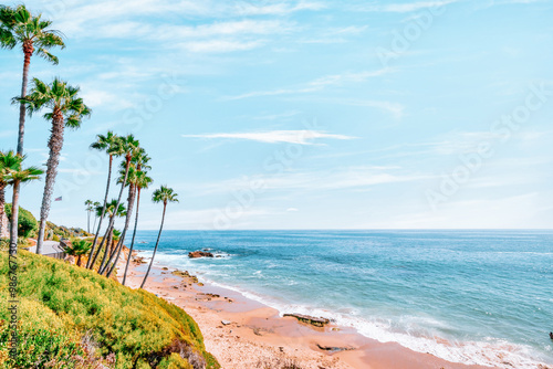 Fototapeta Naklejka Na Ścianę i Meble -  Beautiful landscape of Laguna Beach ocean coastline with palm trees in Treasure Island Park, Orange County, California, USA