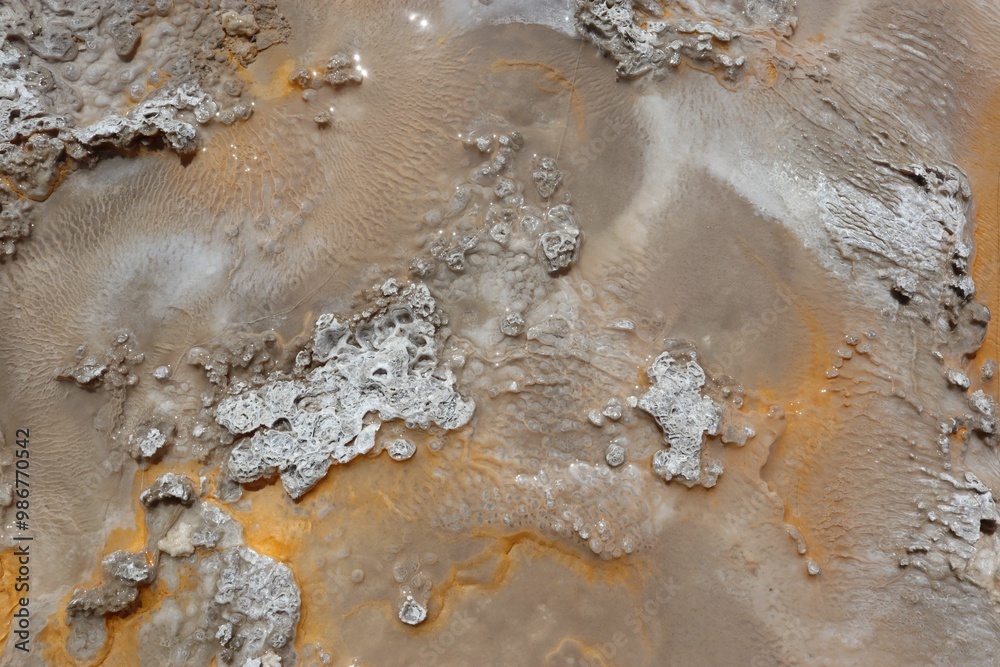 Fototapeta premium Geyser erupts on Upper Geyser Hill Trail on a sunny day in Yellowstone National Park, Wyoming, USA