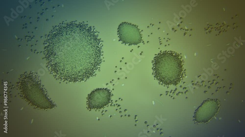 Cg Animation Of Macro Closeup Chloroplasts In Algae Cells Under The Large Magnification Of The Microscope Chlorella Microalgae That Grows In Fresh Or Ocean Water Is A Source Of Antioxidant