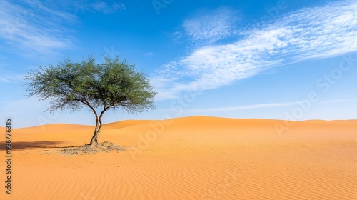 Single Tree in Desert Landscape with Blue Sky and Clouds