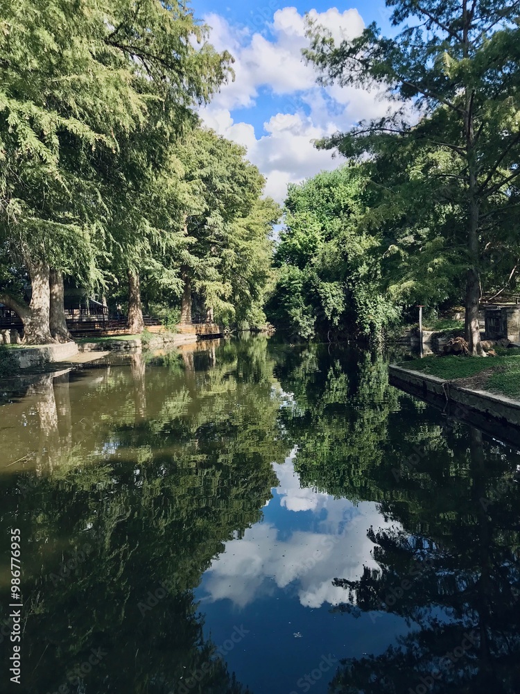 Fototapeta premium River in the city park