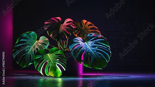empty green plant with colored neon lights on a dark background