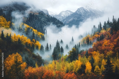 A misty fall morning in the mountains, with fog rolling through a valley of autumn-colored trees