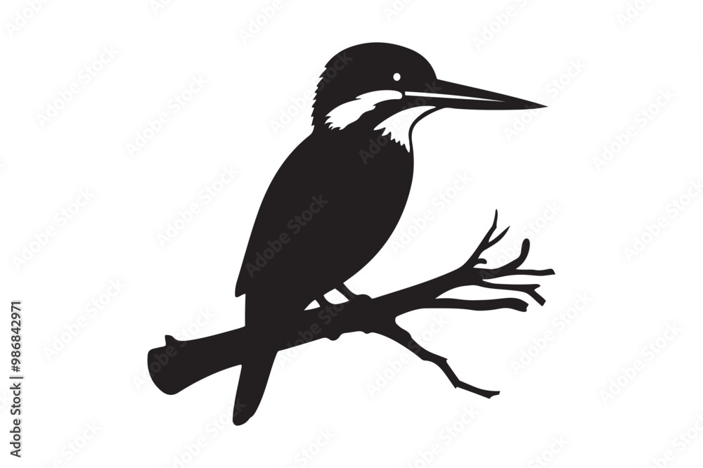 Obraz premium Kingfisher silhouette vector art illustration isolated on white background.