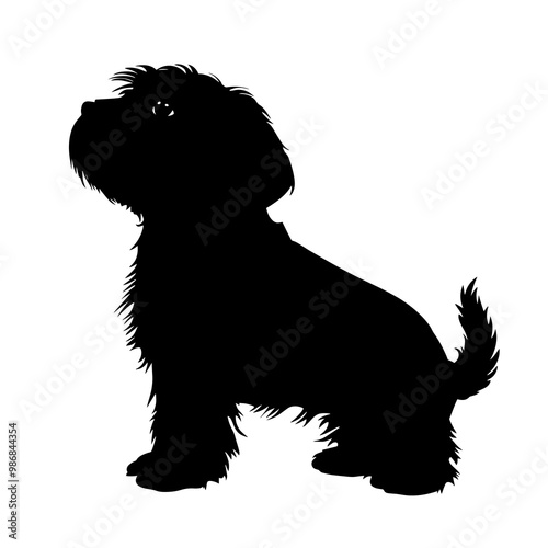 vector silhouette of a Dandie Dinmont