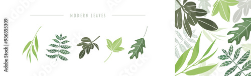 Modern leaves — clean and flowing vector graphics of green leaves found in the southeastern United States. Hand-designed artwork that can provide timeless accents and backgrounds.