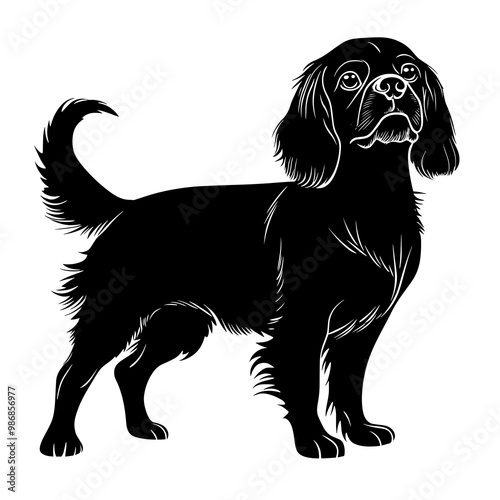 silhouette of a english toy spaniel